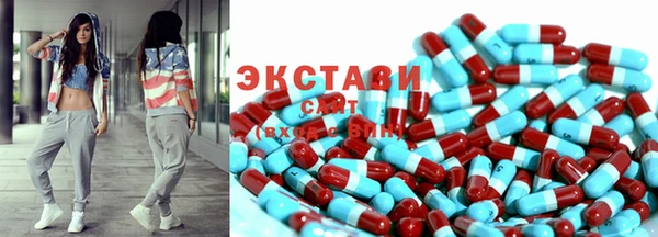 индика Протвино