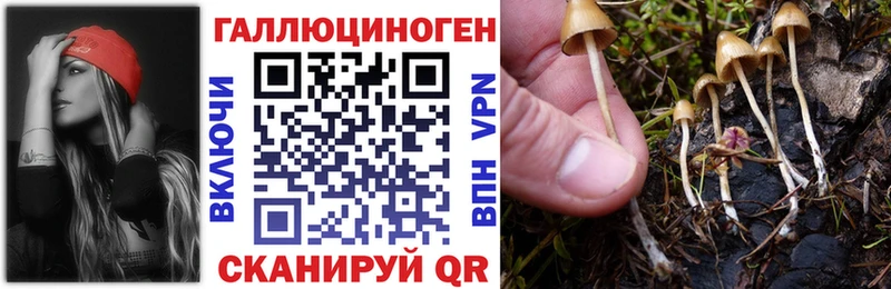 Псилоцибиновые грибы Cubensis  как найти закладки  Усть-Катав 
